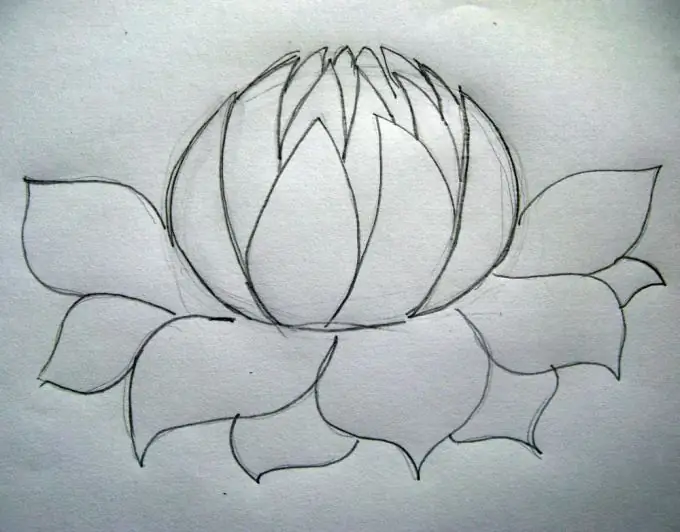 Paano magdrawing ng lotus