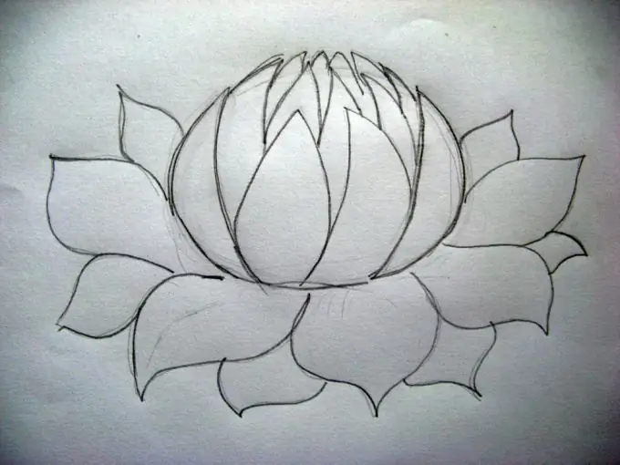 Paano magdrawing ng lotus