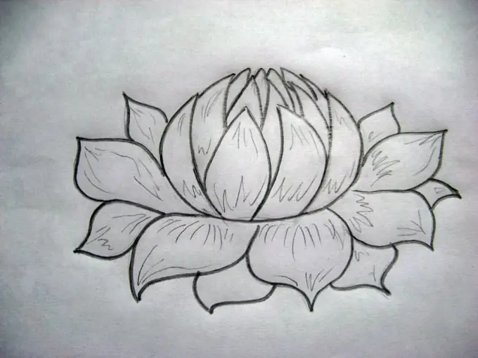 Paano magdrawing ng lotus