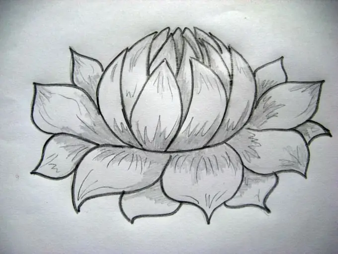 Paano magdrawing ng lotus