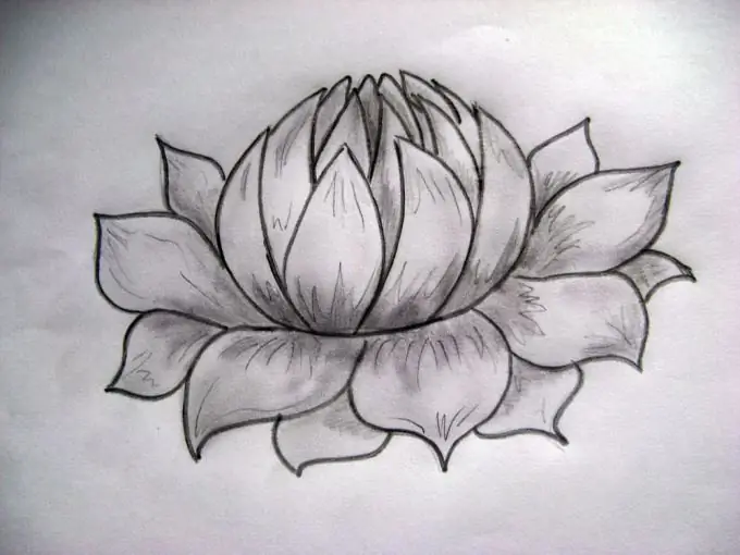 Paano magdrawing ng lotus