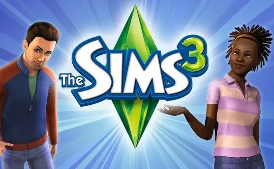 How to enter codes for the Sims 3