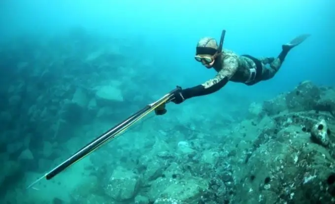 วิธีการทำ spearfishing