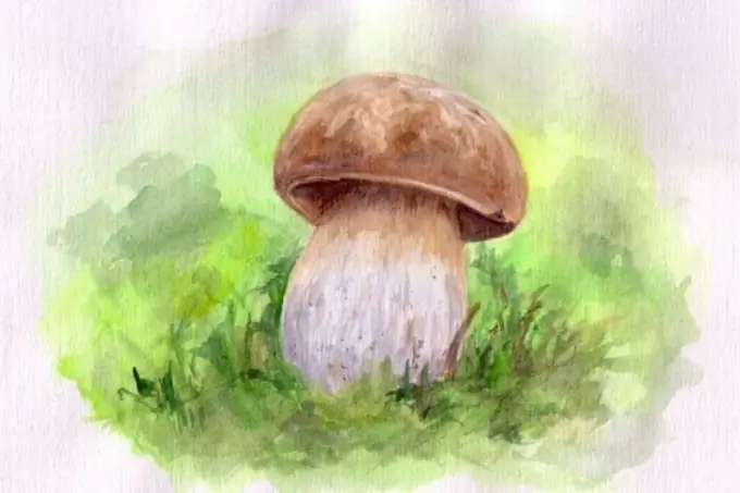 Come disegnare funghi autunnali