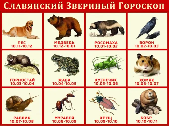 slavic horoscope of animals by date of birth