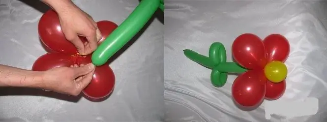 Attēls Attēls