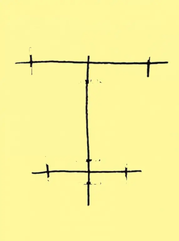 Tukuyin ang tinatayang ratio ng taas at diameter ng mga base