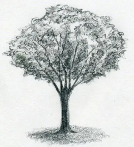 How to draw a tree