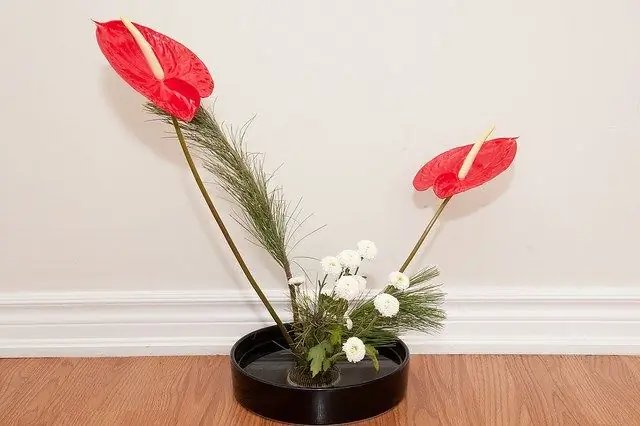 Como fazer ikebana com suas próprias mãos