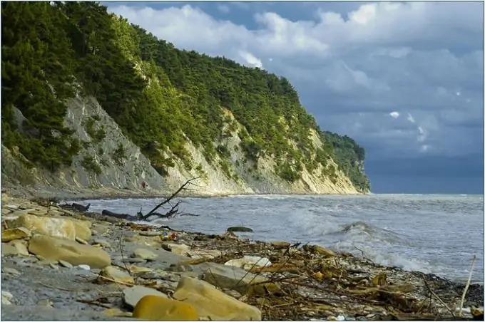 Qualquer imagem estática pode ser revivida com tintas a óleo