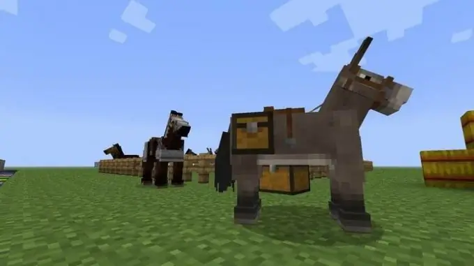 Cómo navegar en Minecraft