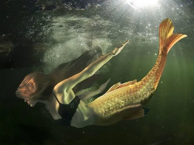 que tipo de homem uma mulher de Peixes precisa