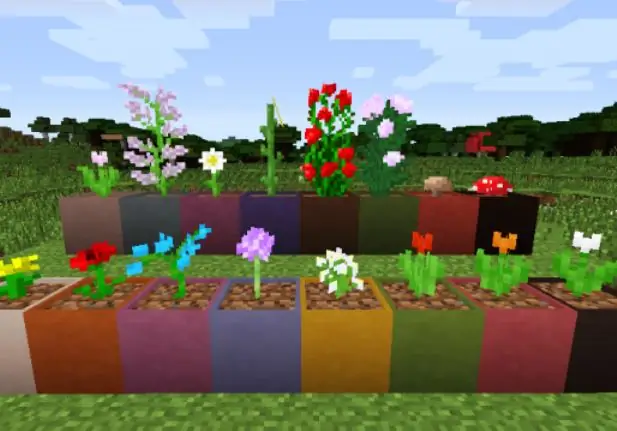 Flower pots will decorate the game interior