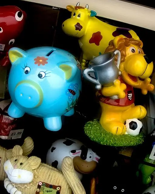 Zoo piggy bank, tsis yog nws? Nws tsis yog qhov ntxim xav kom muab pov rau hauv xws li npib