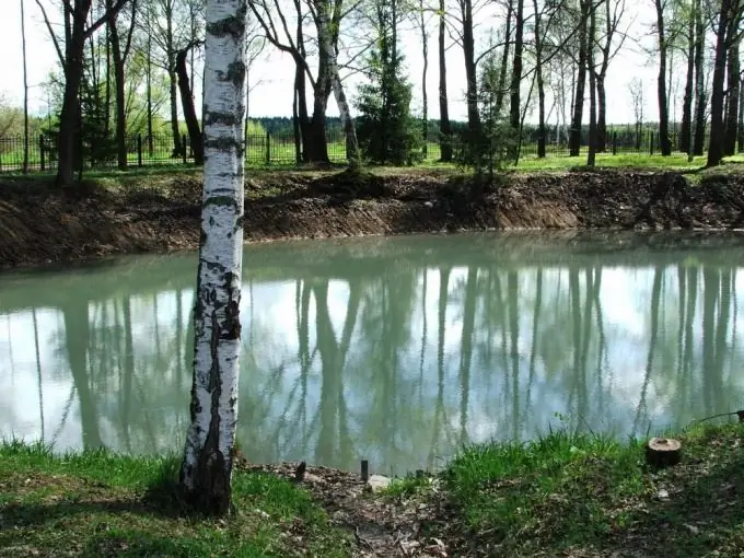 It is not so difficult to equip a pond with fish in the country