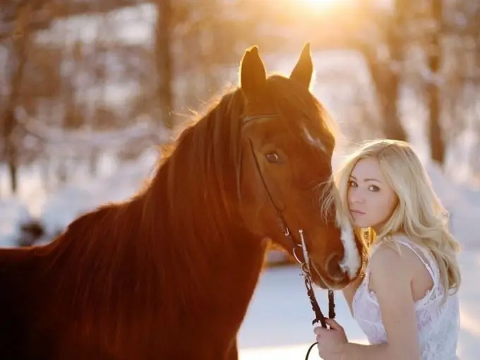 Correct behavior when photographing with a horse