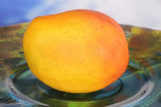 Come coltivare un mango