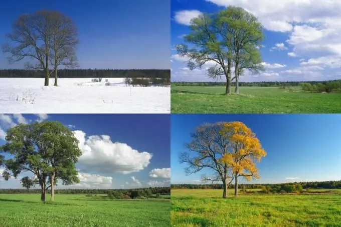 How to draw the seasons