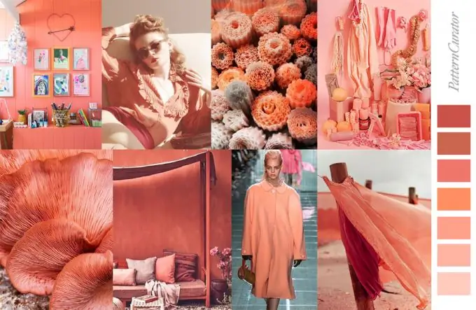 Coral Moodboard