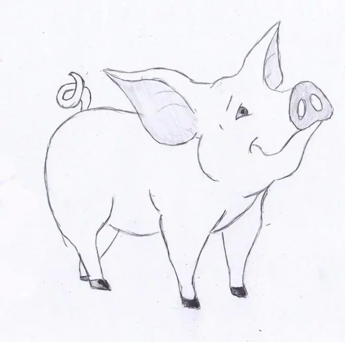 How to draw a pig in stages