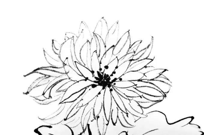 How to draw flowers with a pencil