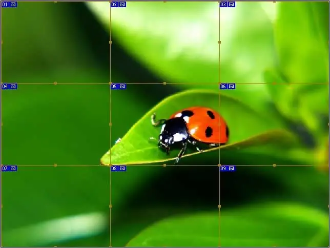 Gambar dibagi menjadi bagian yang sama - Anda dapat memotongnya