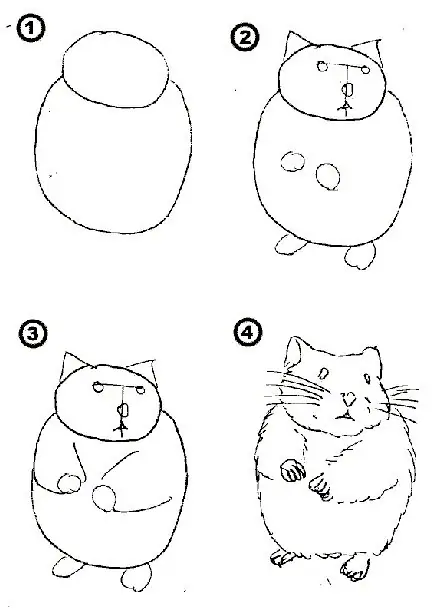 Você pode desenhar um hamster em quatro etapas