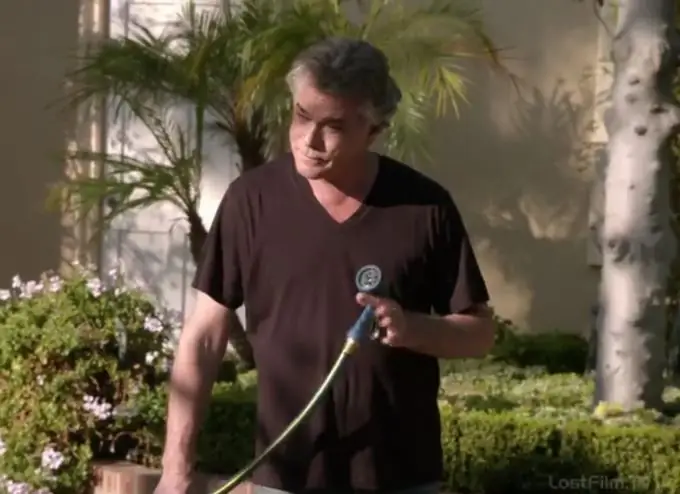 Cameo de Ray Liotta en la serie