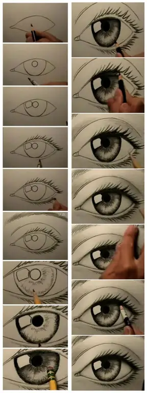 Step by step pencil drawing