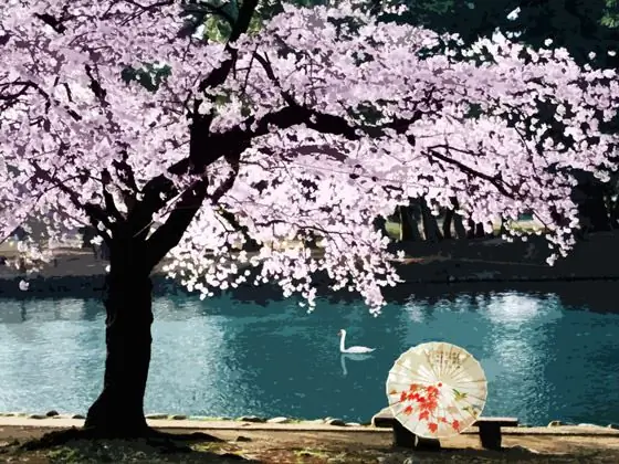 Cómo dibujar un árbol de sakura