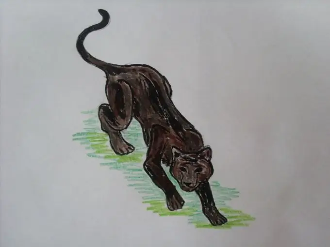 Cara menggambar panther