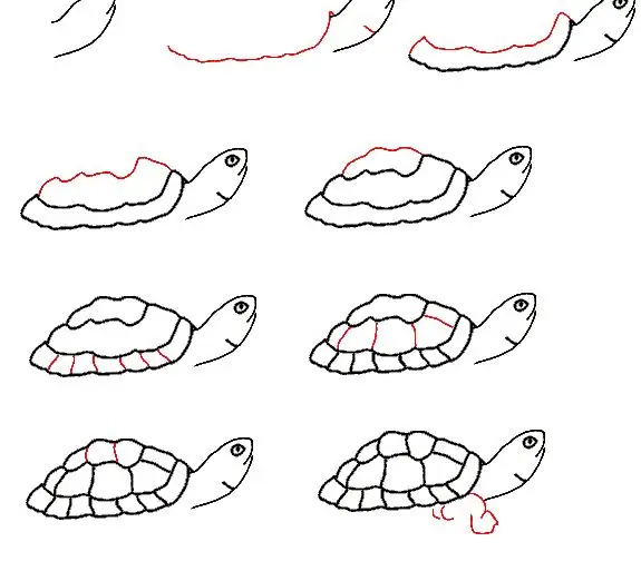 Comment dessiner une tortue