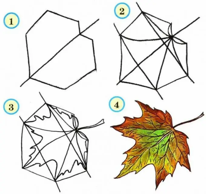 Come disegnare una foglia d'acero autunnale