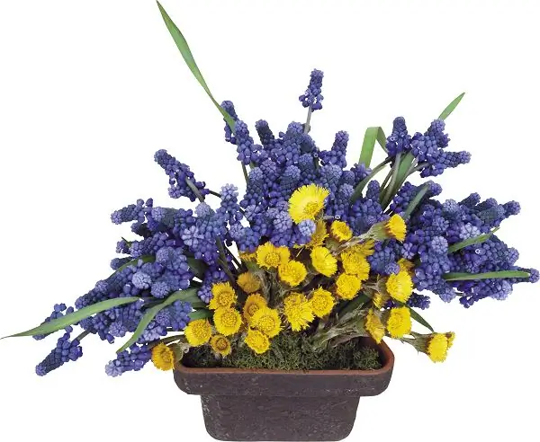 Hur man gör ikebana